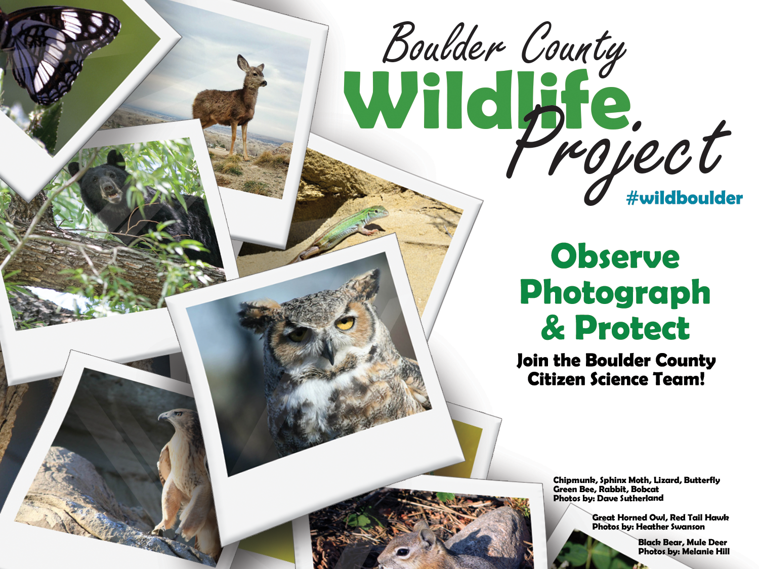 Boulder County Wildlife Project - eTown