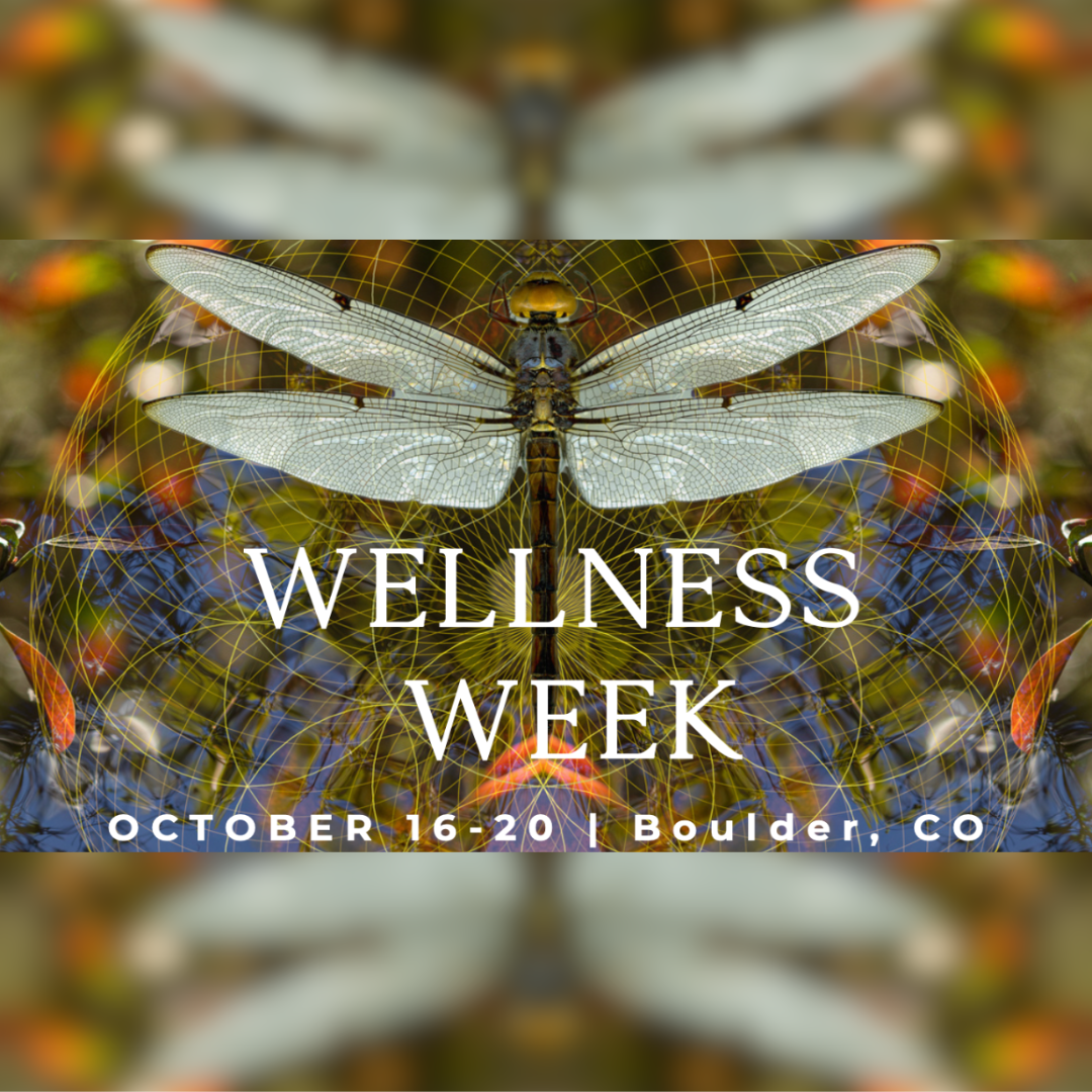 Dragonfly Connect Wellness Week